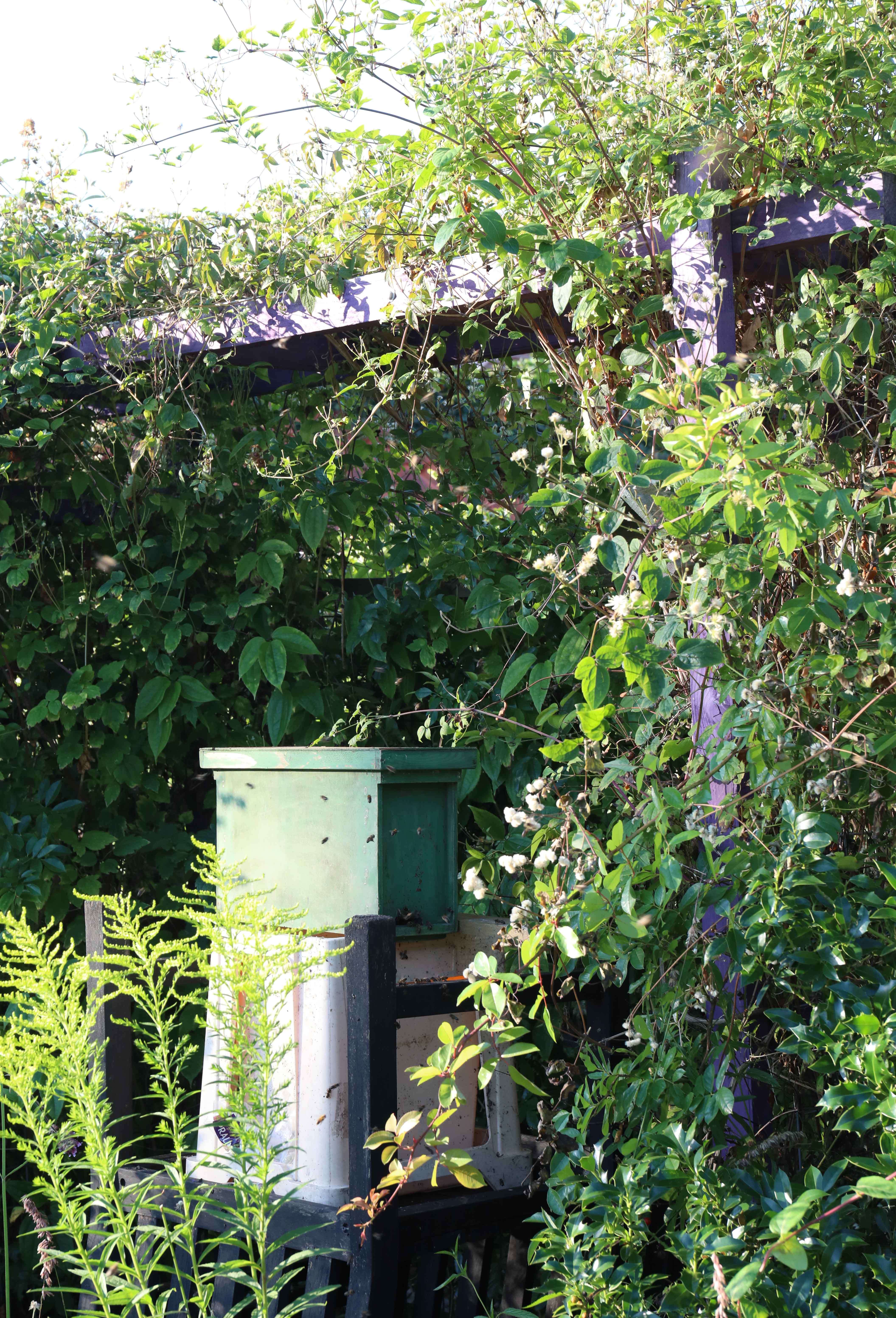 De kast staat zo dicht mogleijk bij de plek waar de bijenzwerm hing.